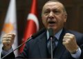 Turquía se queja ante Alemania por insultos contra Erdogan