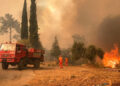 Turquía-incendios-Erdogan