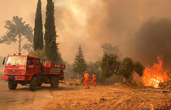 Turquía-incendios-Erdogan