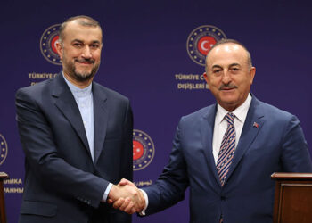 Amir Abdollahian y Mevlut Cavusoglü