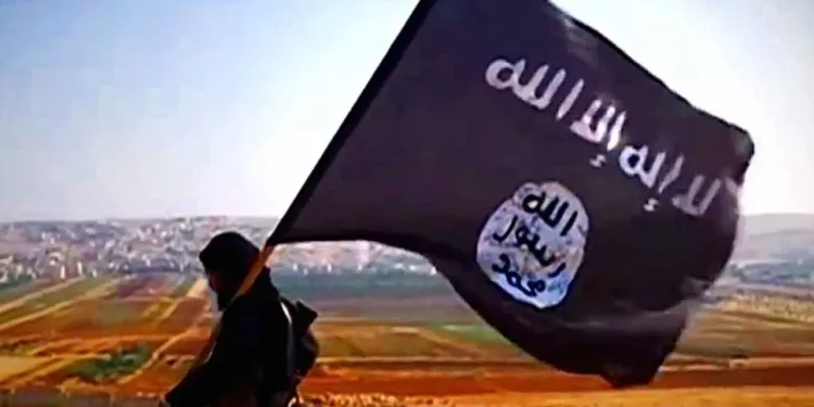 Miembro de ISIS con bandera del Estado Islámico