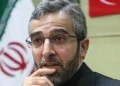 El ministro de Asuntos Exteriores de Irán, Ali Bagheri Kani