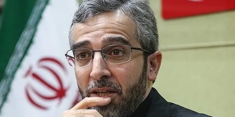 El ministro de Asuntos Exteriores de Irán, Ali Bagheri Kani