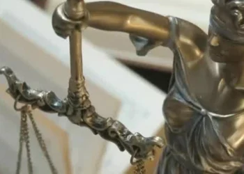 Rochester doctor pleads guilty