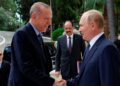 Erdogan backing Russian stance