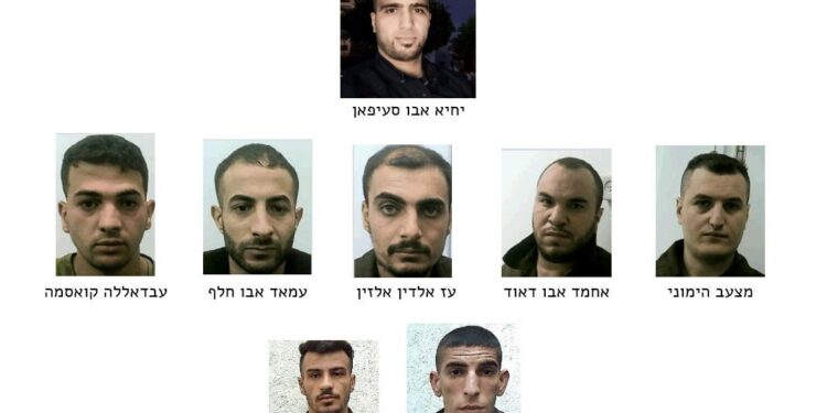 Shin Bet nabs 7 members