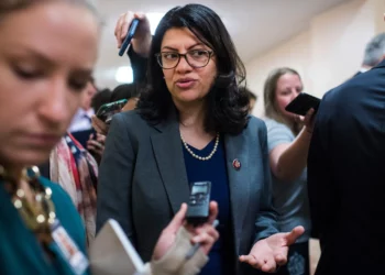 House Democrat slams Tlaib
