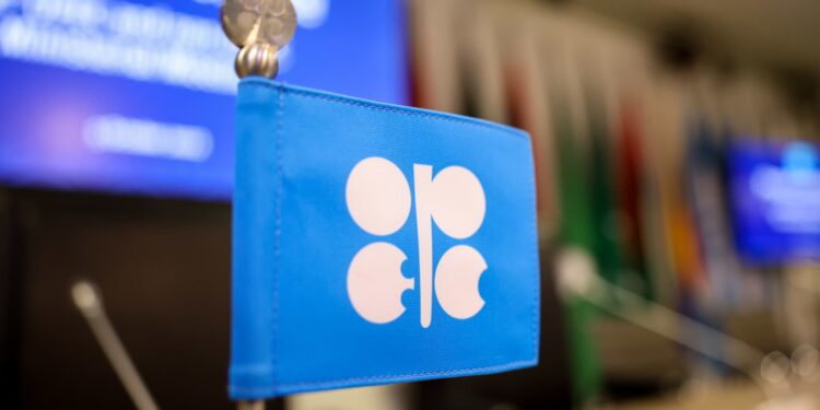 OPEC to slash oil prices after Vienna meeting